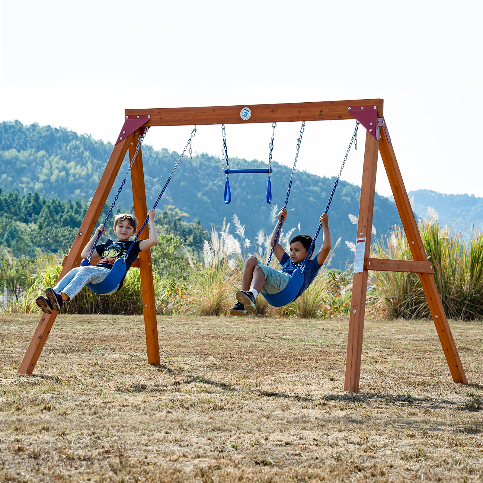 Kiwi Flyer | Dolphin Playground