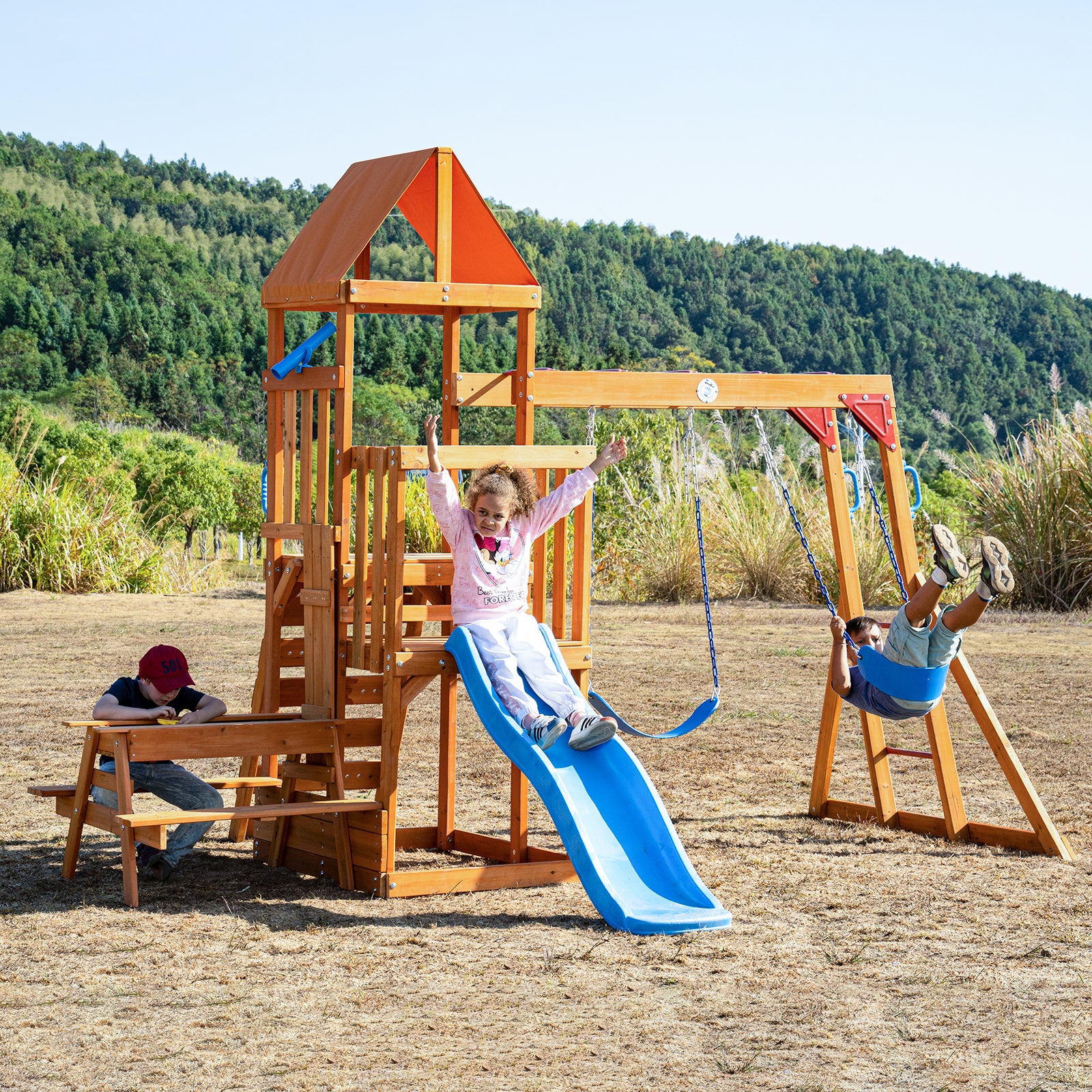 Dolphin Playground Wooden Swing Sets for Backyard with Monkey Bar, Out
