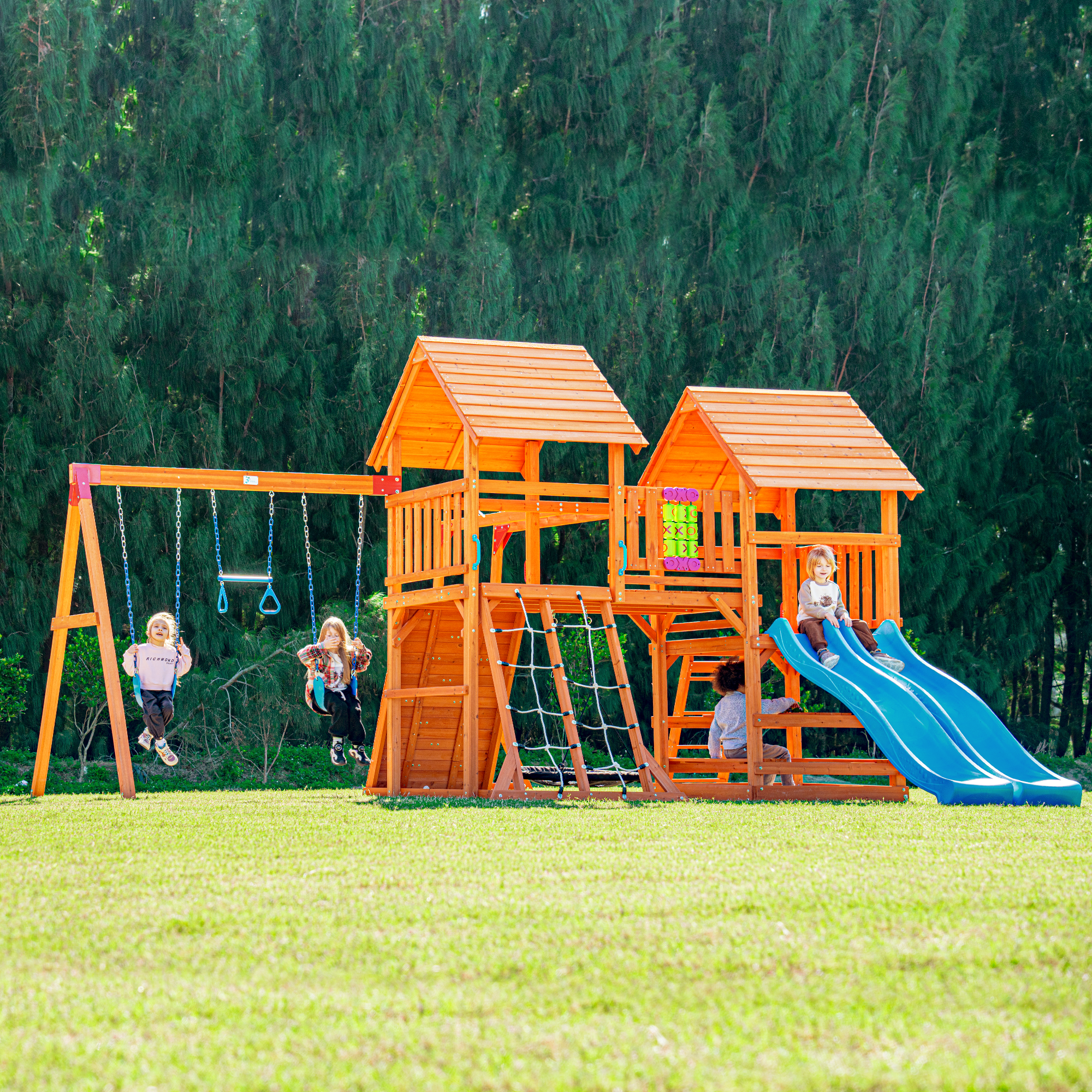 Buzzy Valley | Dolphin Playground
